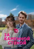  За каменной стеной смотреть онлайн сериал 1 сезон 